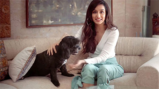 Boo-Boo & Cuddly Poo - Water Communications