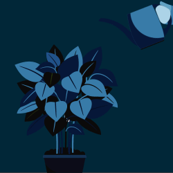 BFSI | Communications