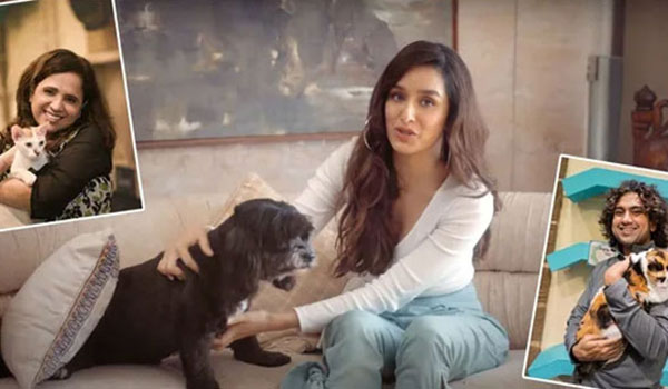 What breed is your love? The tails of boo-boo and cuddly poo will tell the plight of stray animals - Water Communications